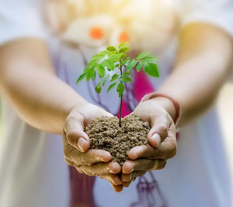 INVESTMENT & SAVINGS PLANNING